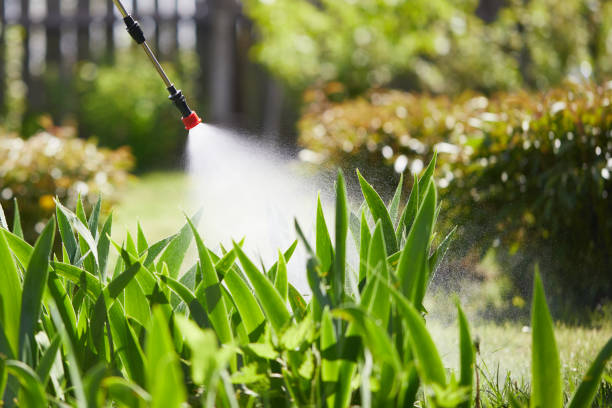 Tamper-Resistant Bait Stations for Rodents in Lake View