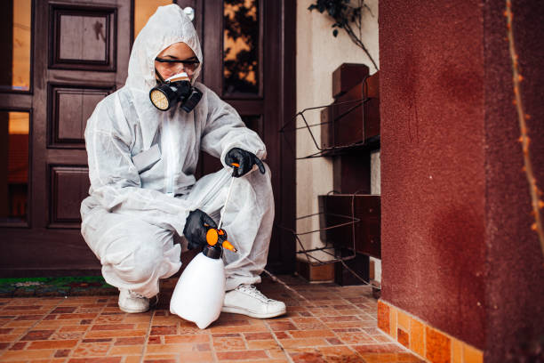 Attic and Crawl Space Rodent Treatment in Lake View